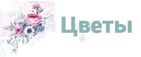 Цветы