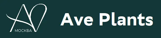 Ave Plants